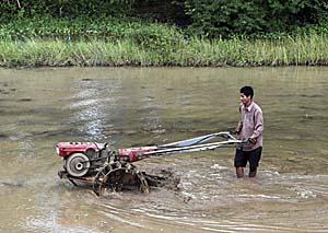 Rice Farmer with a tractor by Asienreisender